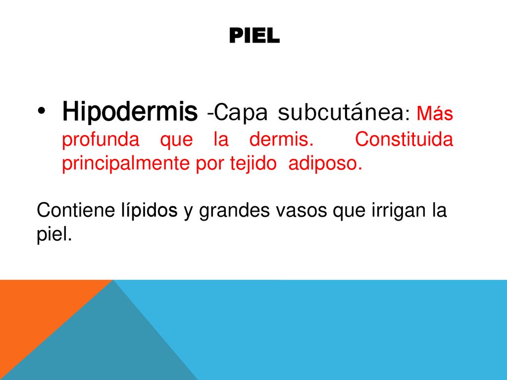 PIEL Hipodermis -Capa subcutánea: Más profunda que la dermis. Constituida principalmente por tejido adiposo.
