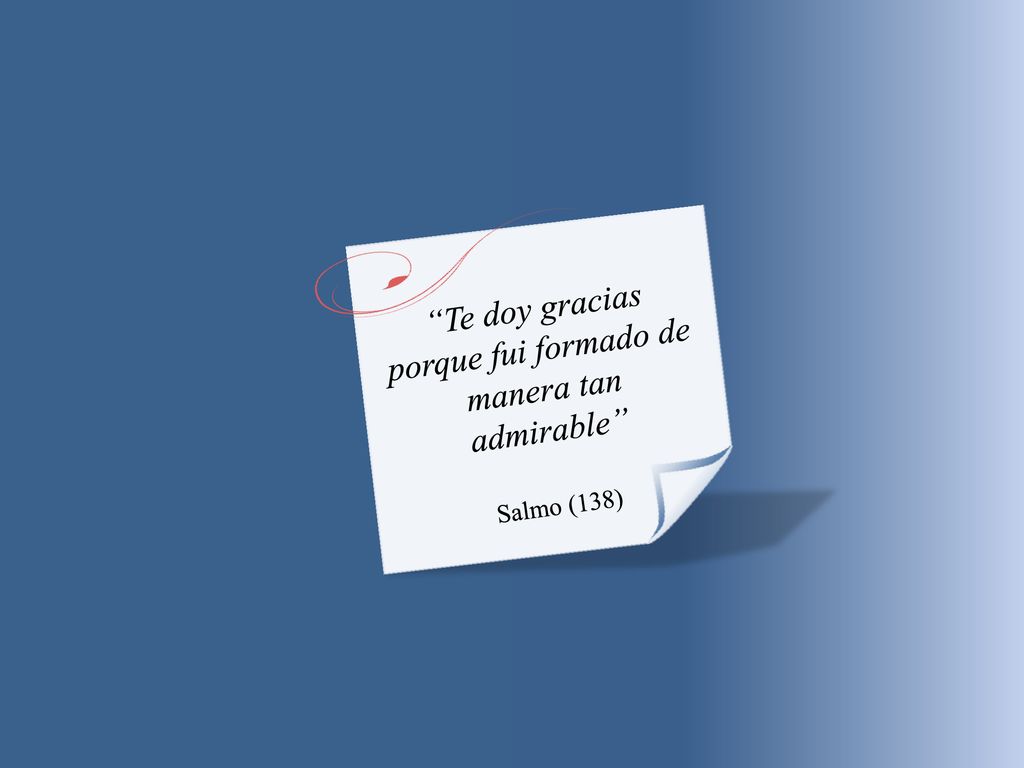Te doy gracias porque fui formado de manera tan admirable