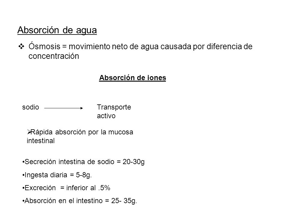 Absorción de agua Ósmosis = movimiento neto de agua causada por diferencia de concentración.