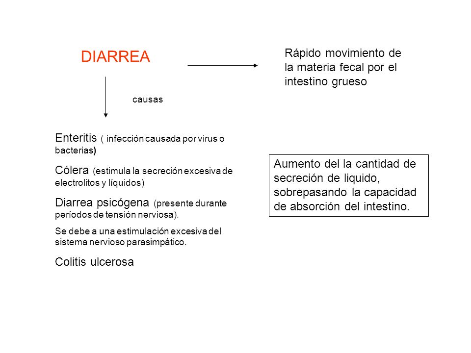 DIARREA Rápido movimiento de la materia fecal por el intestino grueso