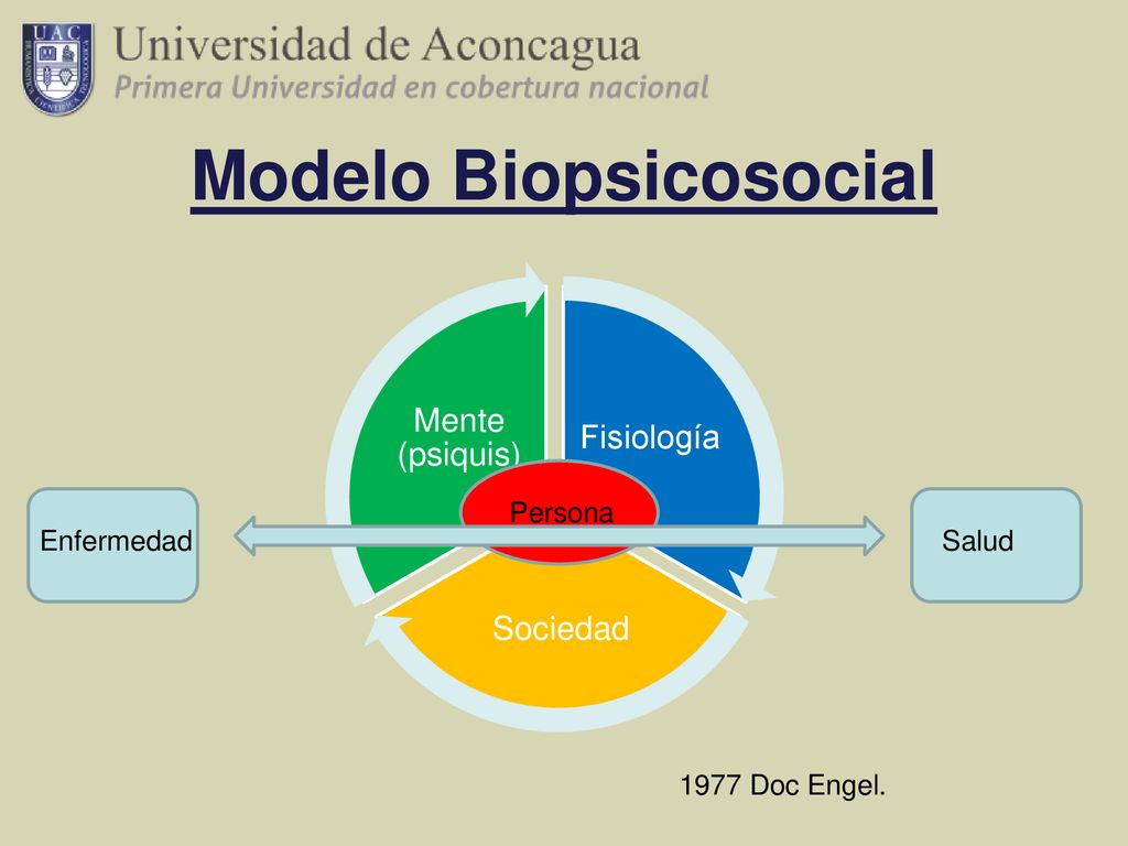 FUNDAMENTOS DE SALUD Modelo Biopsicosocial Soledad Briones - ppt descargar