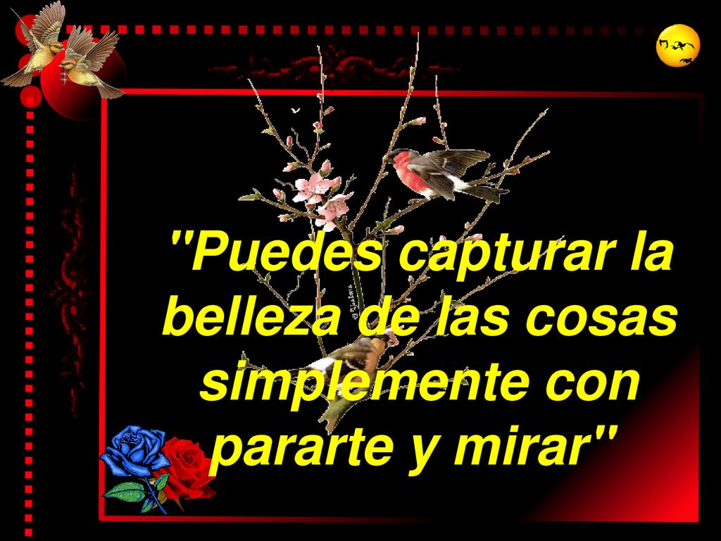 Puedes capturar la belleza de las cosas simplemente con pararte y mirar