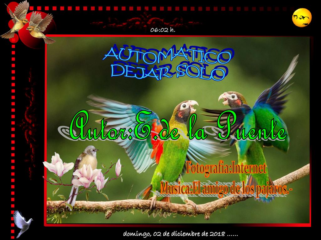 Musica:El amigo de los pajaros.- domingo, 02 de diciembre de 2018 ……