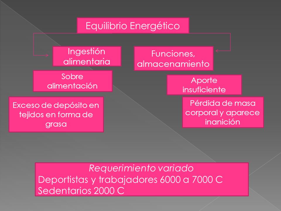 Equilibrio Energético