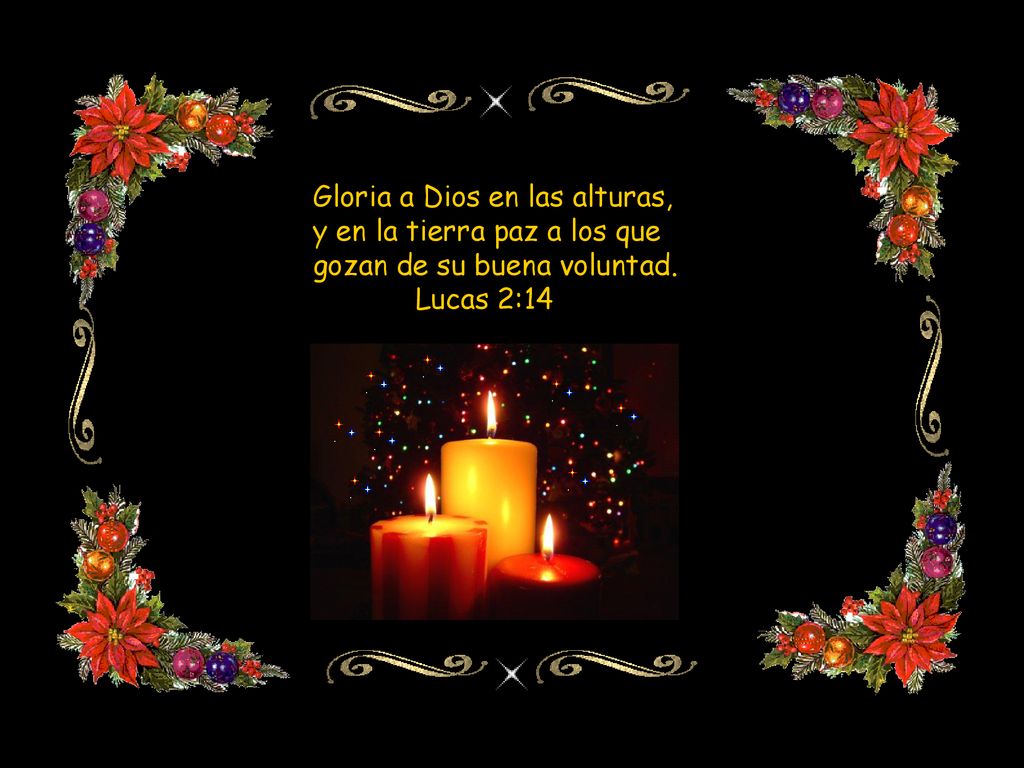 Gloria a Dios en las alturas, y en la tierra paz a los que gozan de su buena voluntad.