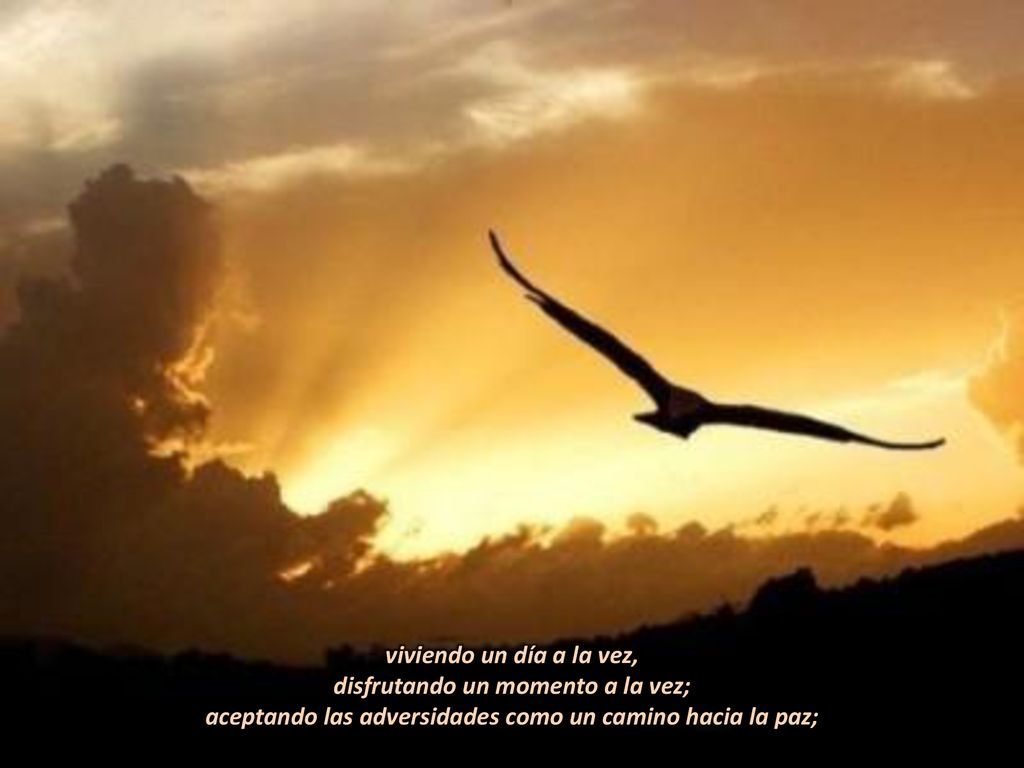 viviendo un día a la vez, disfrutando un momento a la vez; aceptando las adversidades como un camino hacia la paz;