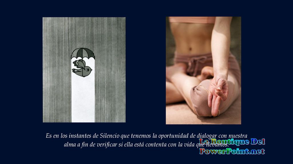 Es en los instantes de Silencio que tenemos la oportunidad de dialogar con nuestra alma a fin de verificar si ella está contenta con la vida que llevamos.