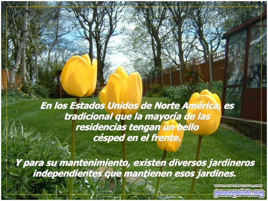 En los Estados Unidos de Norte América, es tradicional que la mayoría de las residencias tengan un bello césped en el frente.