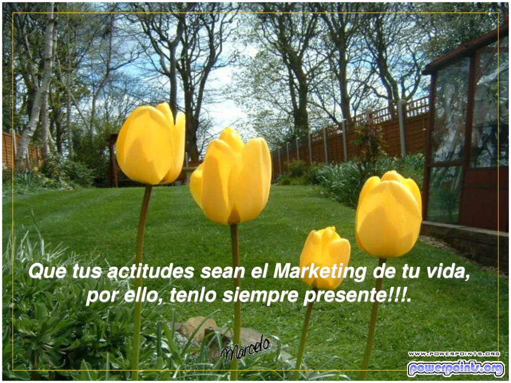 Que tus actitudes sean el Marketing de tu vida, por ello, tenlo siempre presente!!!.