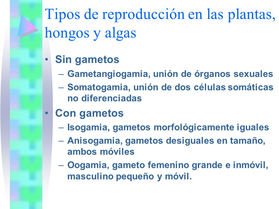 Tipos de reproducción en las plantas, hongos y algas