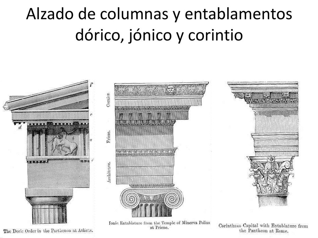 Alzado de columnas y entablamentos dórico, jónico y corintio