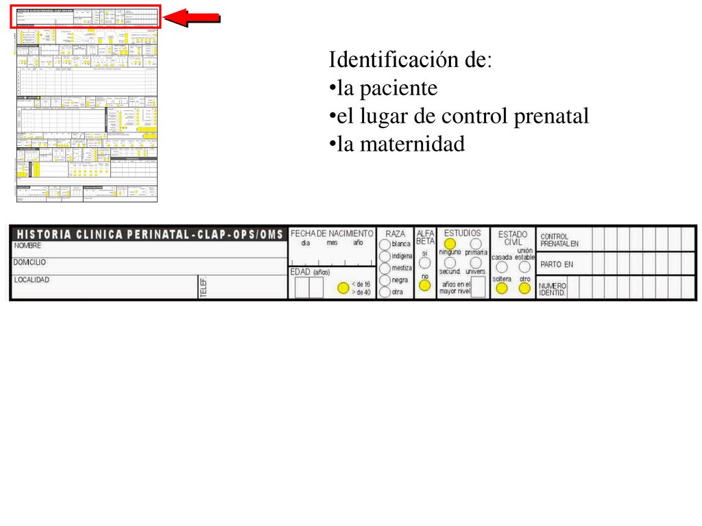 Identificación de: la paciente el lugar de control prenatal la maternidad