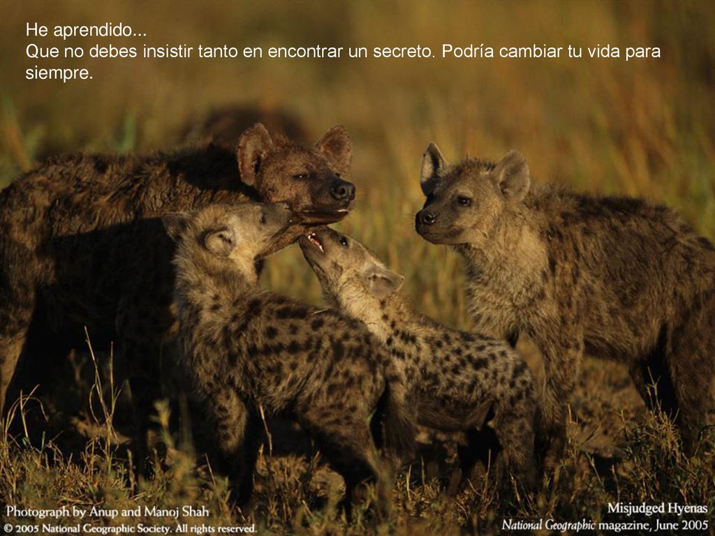 He aprendido. Que no debes insistir tanto en encontrar un secreto