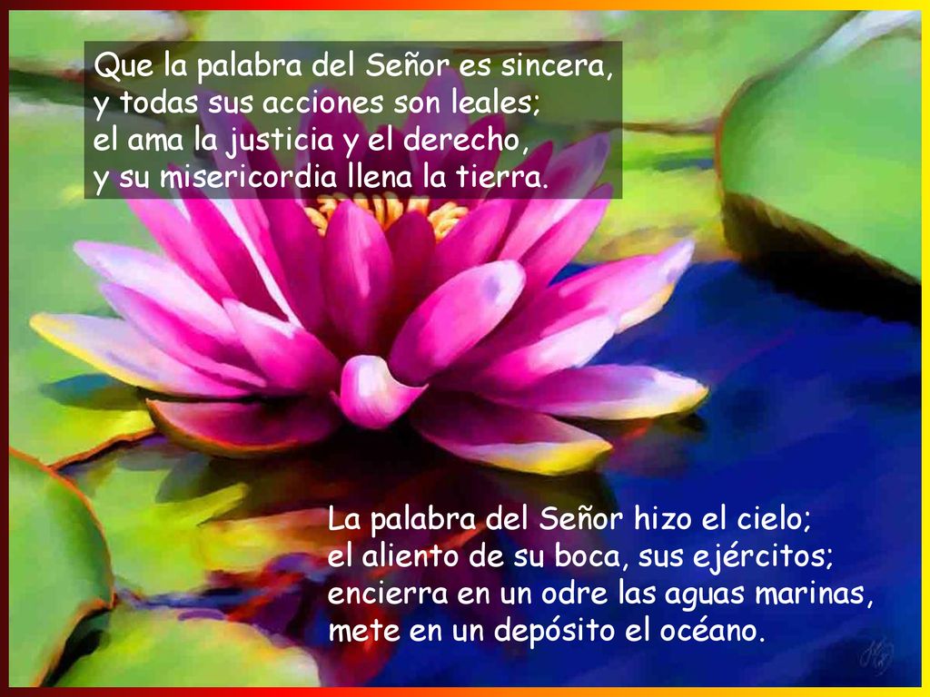 Que la palabra del Señor es sincera, y todas sus acciones son leales; el ama la justicia y el derecho, y su misericordia llena la tierra.