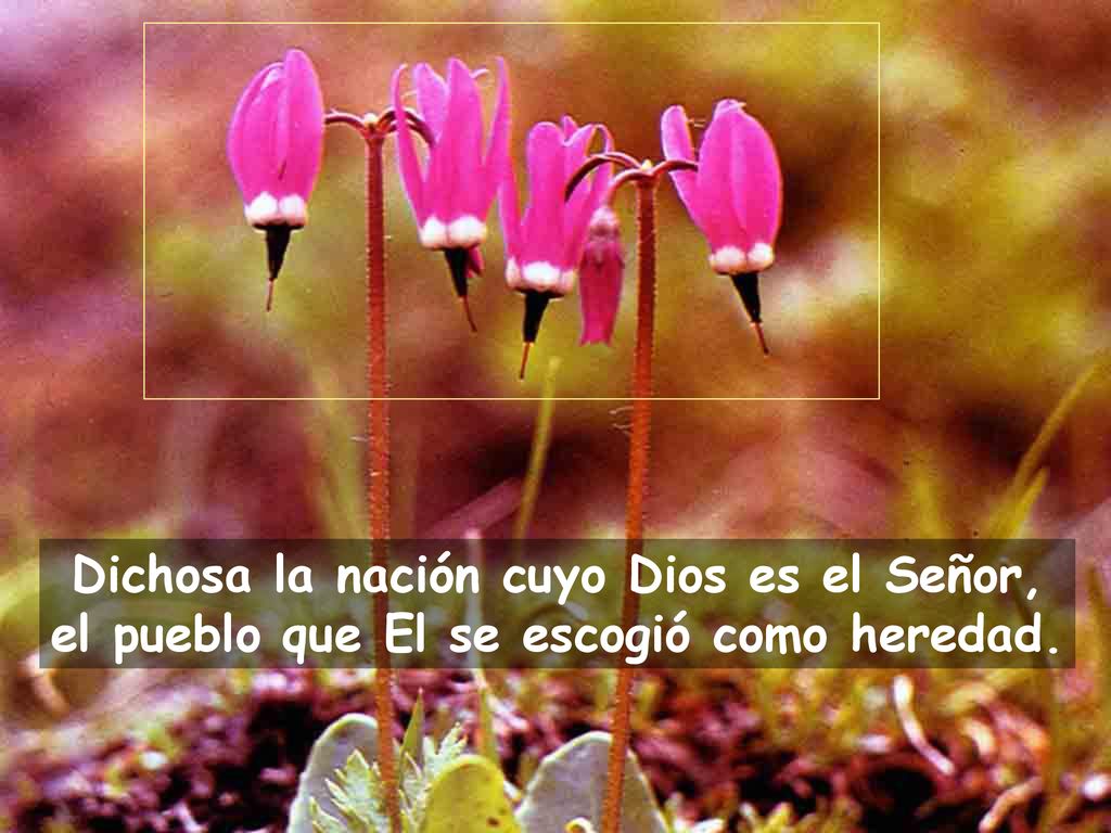 Dichosa la nación cuyo Dios es el Señor, el pueblo que El se escogió como heredad.
