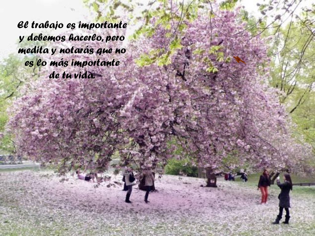 El trabajo es importante y debemos hacerlo, pero medita y notarás que no es lo más importante de tu vida.