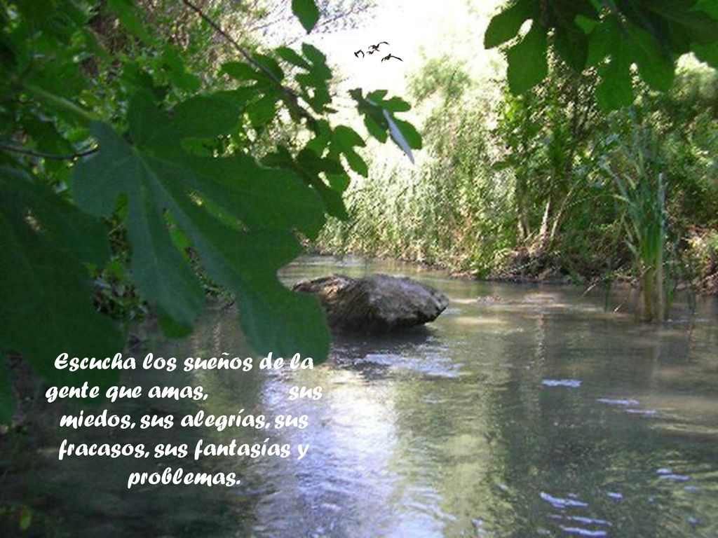 Escucha los sueños de la gente que amas, sus miedos, sus alegrías, sus fracasos, sus fantasías y problemas.