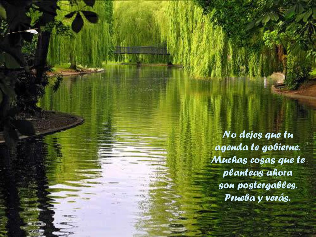 No dejes que tu agenda te gobierne. Muchas cosas que te planteas ahora