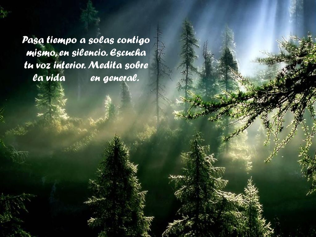 Pasa tiempo a solas contigo mismo, en silencio. Escucha tu voz interior.