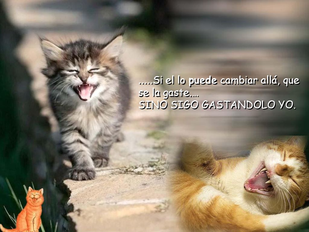 .....Si el lo puede cambiar allá, que se la gaste.…