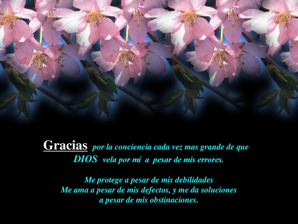 Gracias por la conciencia cada vez mas grande de que
