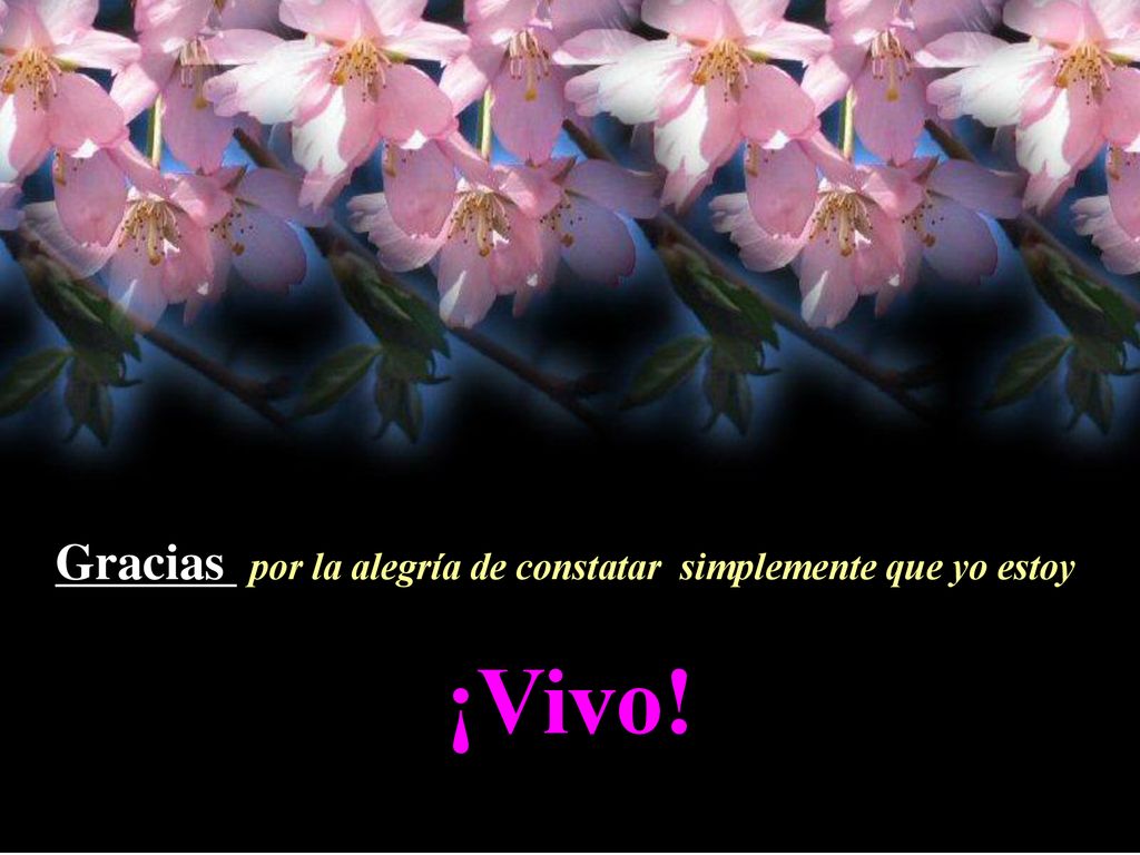 Gracias por la alegría de constatar simplemente que yo estoy