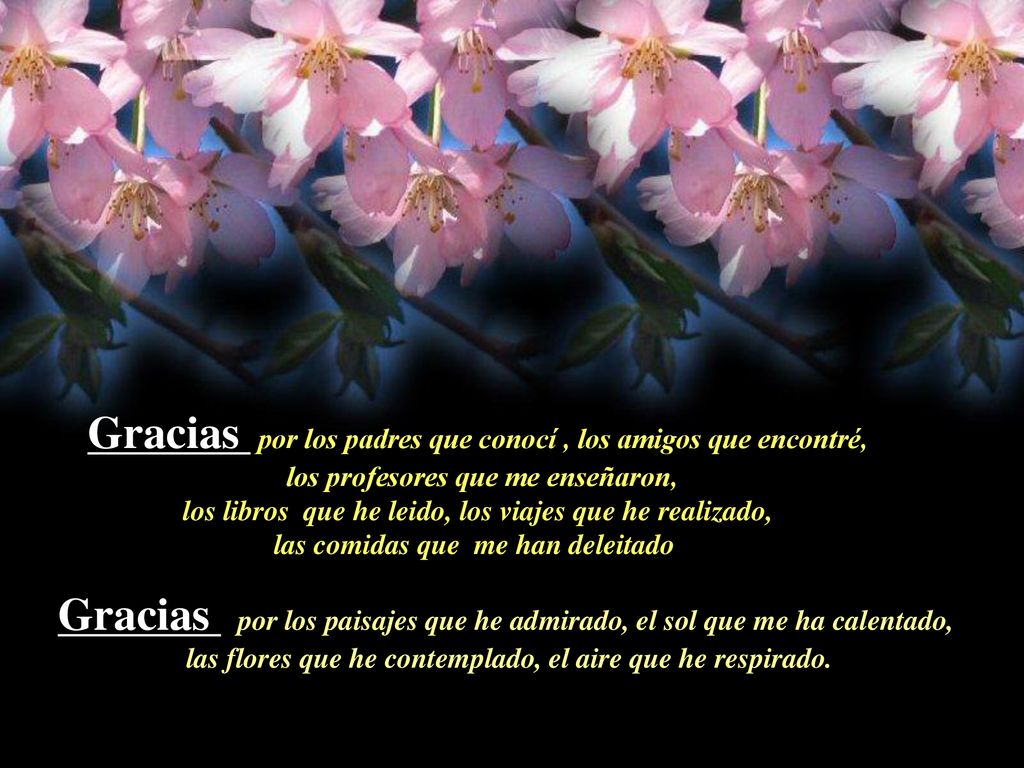 Gracias por los padres que conocí , los amigos que encontré,