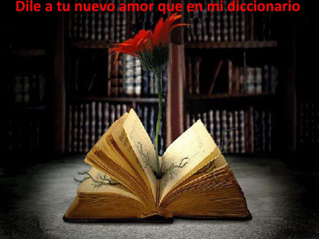 Dile a tu nuevo amor que en mi diccionario