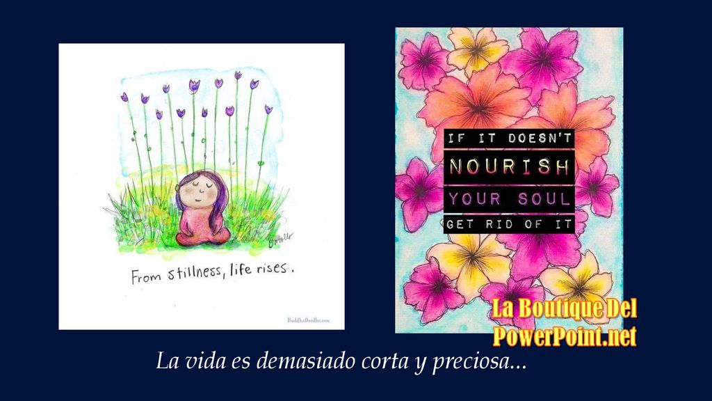La vida es demasiado corta y preciosa...