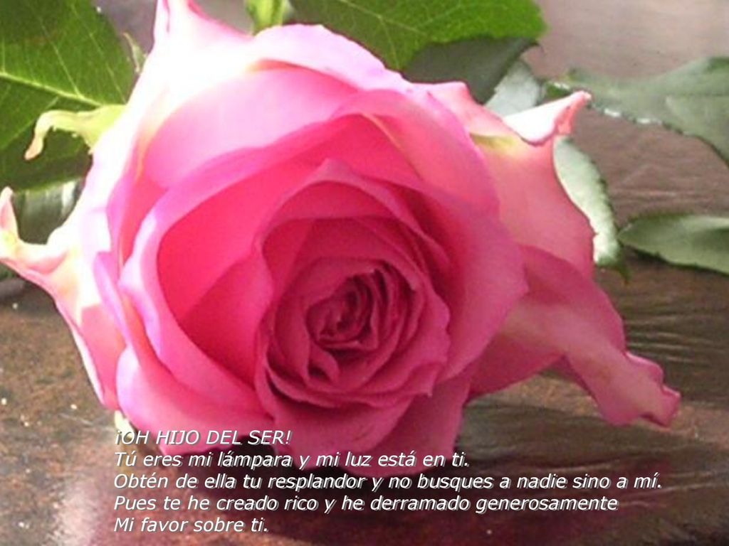 ¡OH HIJO DEL SER! Tú eres mi lámpara y mi luz está en ti. Obtén de ella tu resplandor y no busques a nadie sino a mí.