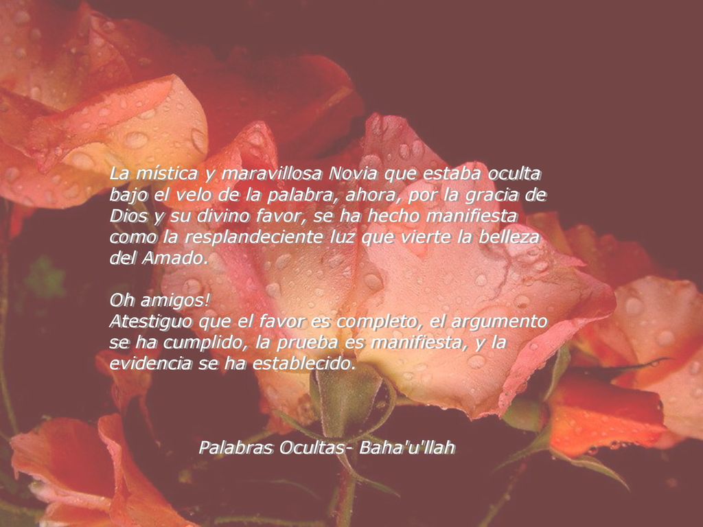 La mística y maravillosa Novia que estaba oculta bajo el velo de la palabra, ahora, por la gracia de Dios y su divino favor, se ha hecho manifiesta como la resplandeciente luz que vierte la belleza del Amado.