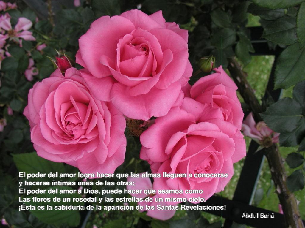 El poder del amor logra hacer que las almas lleguen a conocerse