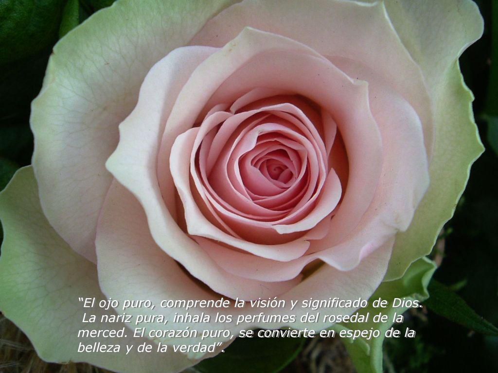 El ojo puro, comprende la visión y significado de Dios.