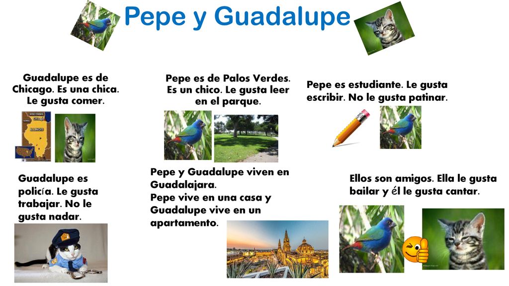 Pepe es de Palos Verdes. Es un chico. Le gusta leer en el parque.