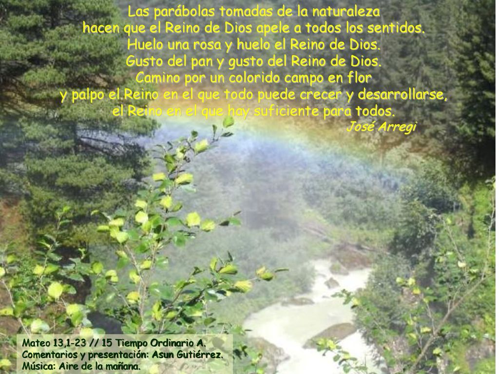 Las parábolas tomadas de la naturaleza hacen que el Reino de Dios apele a todos los sentidos.