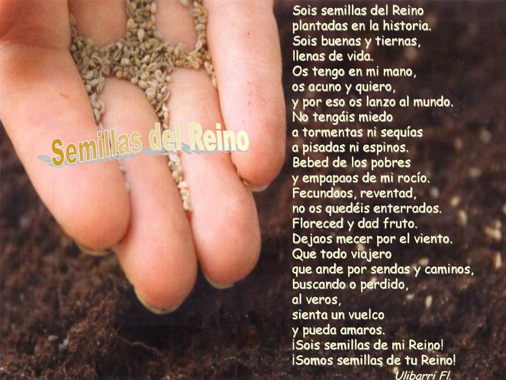 Semillas del Reino Sois semillas del Reino plantadas en la historia.