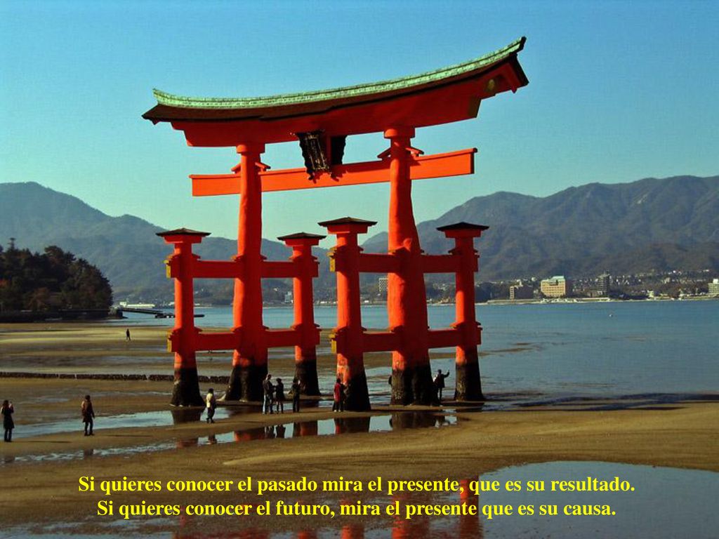 Si quieres conocer el pasado mira el presente, que es su resultado.