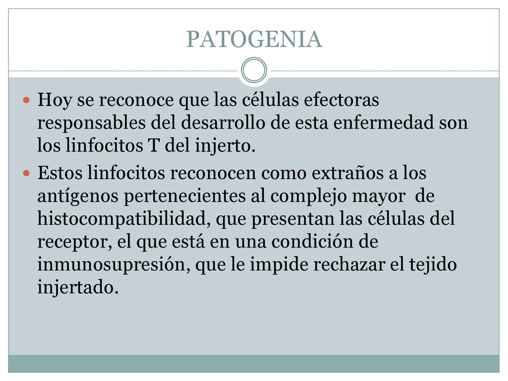 PATOGENIA Hoy se reconoce que las células efectoras responsables del desarrollo de esta enfermedad son los linfocitos T del injerto.