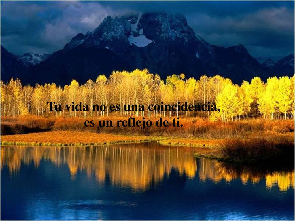 Tu vida no es una coincidencia, es un reflejo de ti.