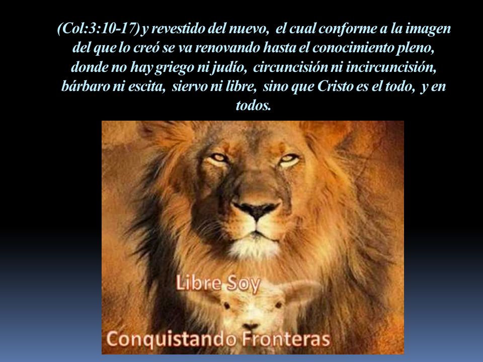 (Col:3:10-17) y revestido del nuevo, el cual conforme a la imagen del que lo creó se va renovando hasta el conocimiento pleno, donde no hay griego ni judío, circuncisión ni incircuncisión, bárbaro ni escita, siervo ni libre, sino que Cristo es el todo, y en todos.