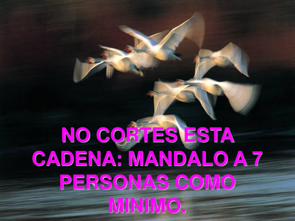 NO CORTES ESTA CADENA: MANDALO A 7 PERSONAS COMO MINIMO.