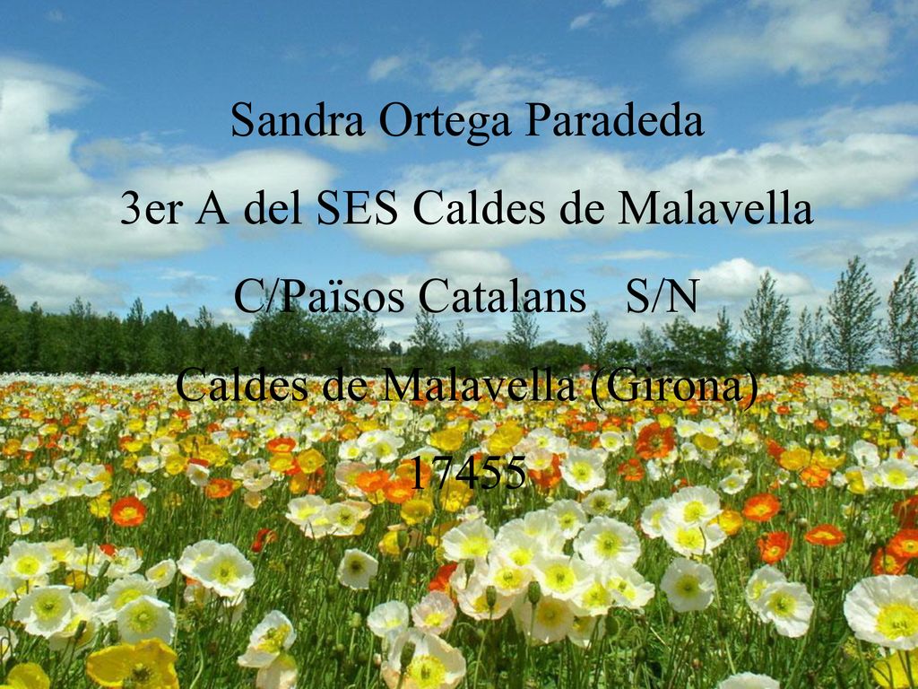Sandra Ortega Paradeda 3er A del SES Caldes de Malavella