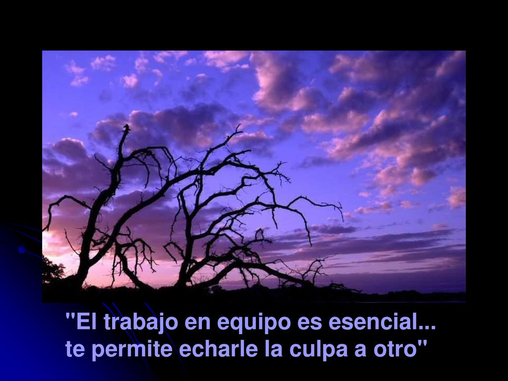 El trabajo en equipo es esencial... te permite echarle la culpa a otro