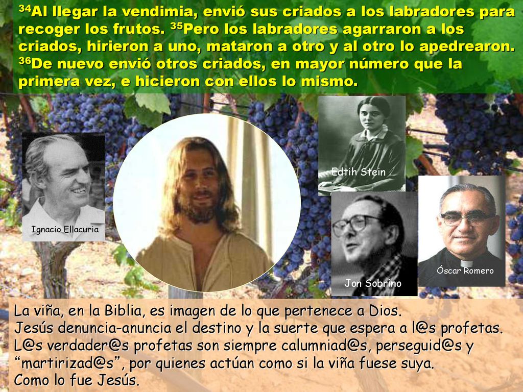 La viña, en la Biblia, es imagen de lo que pertenece a Dios.