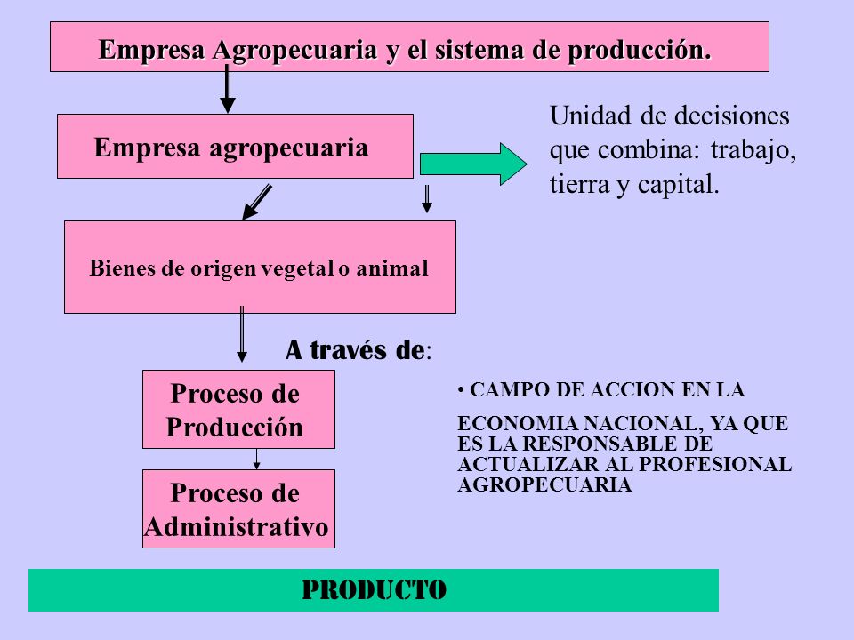 Empresa Agropecuaria y el sistema de producción.