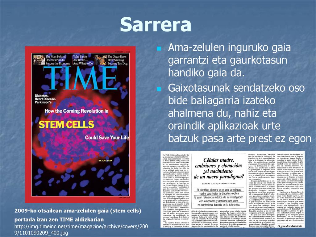 Sarrera Ama-zelulen inguruko gaia garrantzi eta gaurkotasun handiko gaia da.