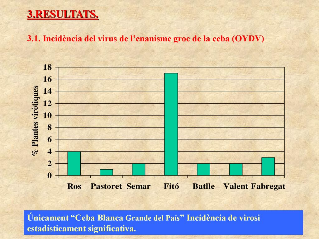 3.RESULTATS Incidència del virus de l’enanisme groc de la ceba (OYDV)