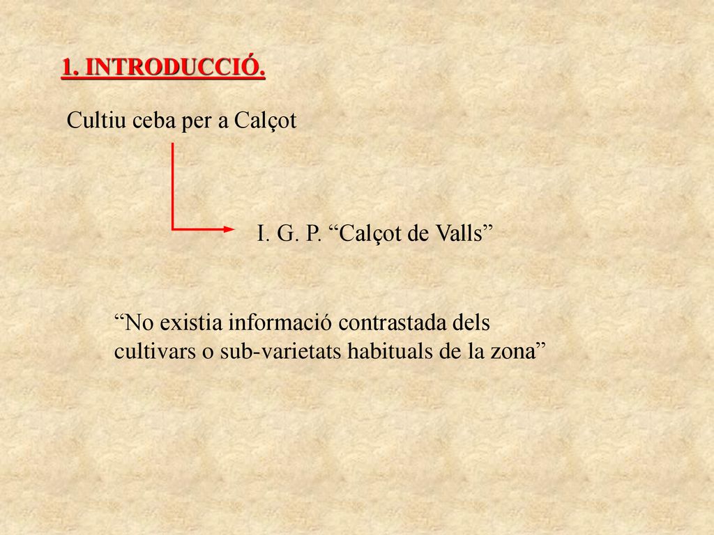 1. INTRODUCCIÓ. Cultiu ceba per a Calçot. I. G. P. Calçot de Valls