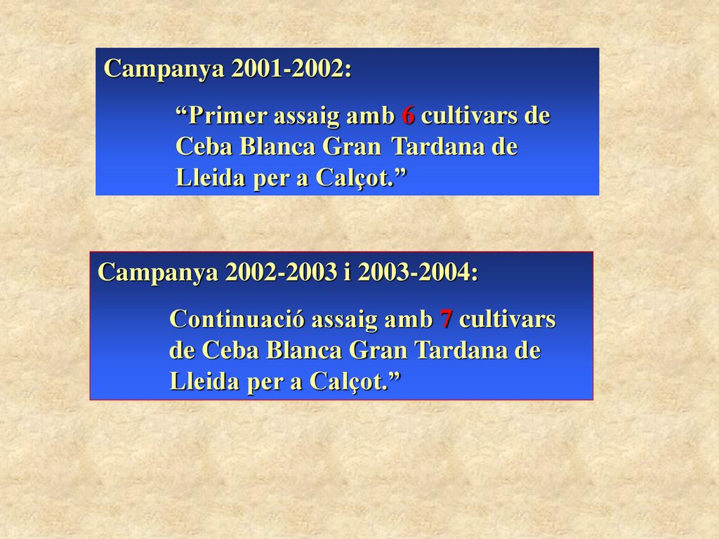 Campanya : Primer assaig amb 6 cultivars de Ceba Blanca Gran Tardana de Lleida per a Calçot.