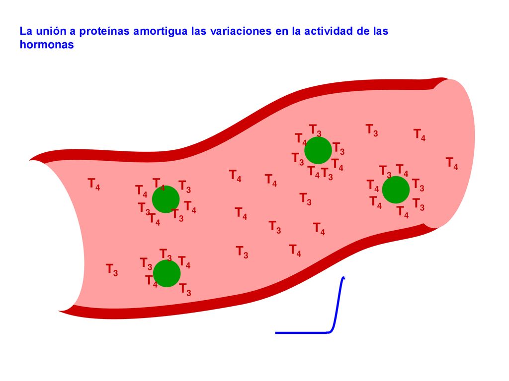 T3 T3 T4 T4 T3 T3 T4 T4 T4 T3 T4 T3 T4 T4 T4 T4 T3 T3 T4 T4 T3 T4 T3